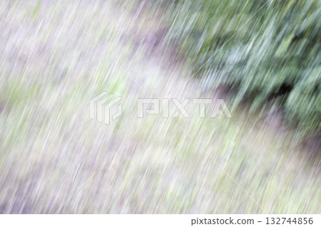 Oblique blurring of bushes and grass. 132744856