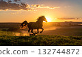 horse running in field 132744872