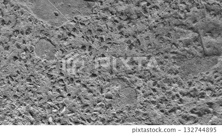 Dry coconuts piled up in the water Dry coconuts piled up in the water 132744895