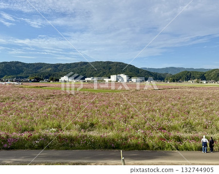 在陰天的福井縣宮之下宇宙公園的宇宙田野上玩耍 132744905