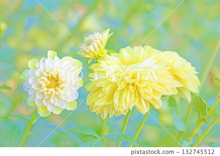 房子周圍的花卉應有盡有,涵蓋了不同的季節。秋風中搖曳的大黃色大麗花為大麗花花園增添了色彩。 房子周圍的花卉應有盡有,涵蓋了不同的季節。秋風中搖曳的大黃色大麗花為大麗花花園增添了色彩。 132745512