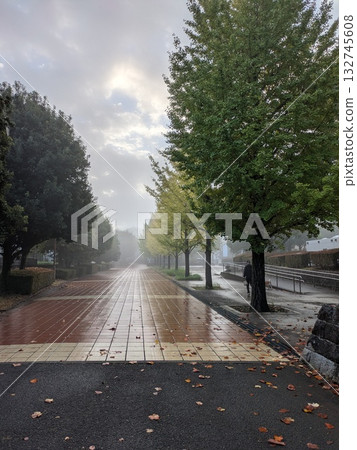 雨後清晨,陽光灑在一條道路上。 雨後清晨,陽光灑在一條道路上。 132745608
