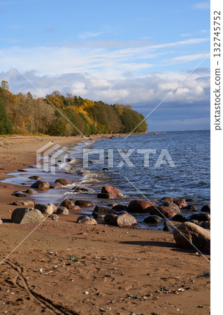 Sandy coastline with forest in autumn colors beside calm blue sea. 132745752
