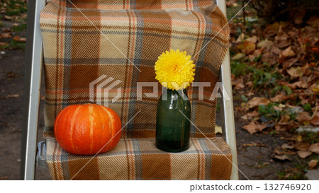 Orange pumpkin and yellow flower in flowerpot bottle Orange pumpkin and yellow flower in flowerpot bottle 132746920
