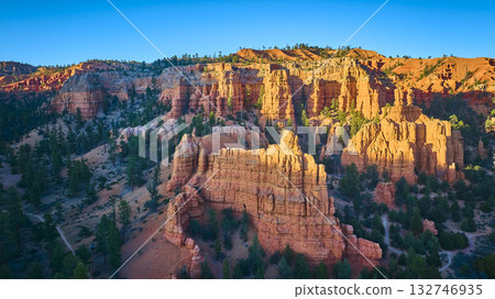 Aerial Red Canyon Hoodoos and Pine Trees at Sunrise in Utah 132746935