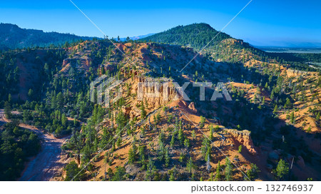 Aerial Red Canyon Cliffs Pine Trees and Trail in Vibrant Utah Landscape Aerial Red Canyon Cliffs Pine Trees and Trail in Vibrant Utah Landscape 132746937