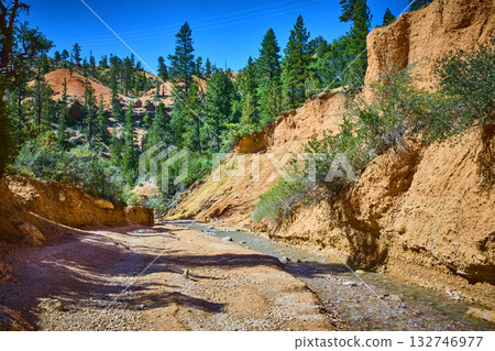 Mossy Cave Trail Creek and Red Canyon Walls with Pine Trees Under Blue Sky Mossy Cave Trail Creek and Red Canyon Walls with Pine Trees Under Blue Sky 132746977