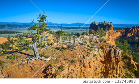 Aerial Lone Tree on Red Canyon Cliff Edge with Arches Trail Utah Aerial Lone Tree on Red Canyon Cliff Edge with Arches Trail Utah 132746998