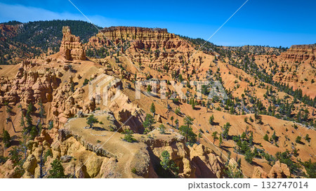 Aerial Red Canyon Hoodoos Golden Wall Trail and Pine Trees Utah Landscape 132747014