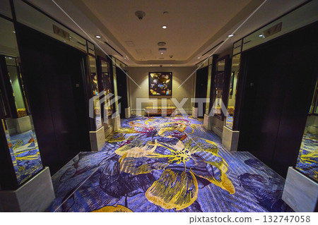 Modern Hotel Elevator Lobby With Vibrant Floral Carpet And Decorative Bench 132747058