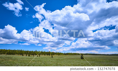 Open Meadow and Pine Forest Under Blue Sky with Dramatic Clouds 132747078