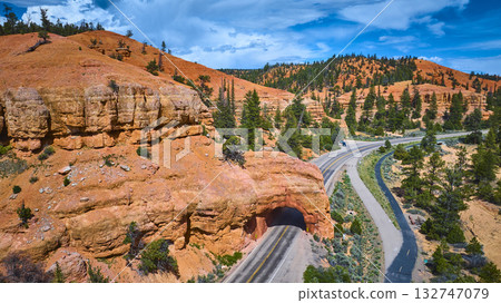 Aerial Red Canyon Tunnel Scenic Road and Pine Trees in Utah Aerial Red Canyon Tunnel Scenic Road and Pine Trees in Utah 132747079