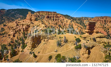 Aerial Red Canyon Hoodoos and Golden Wall Trail with Pine Trees Utah 132747125