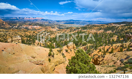Bryce Canyon National Park Hoodoo Formations and Pine Forest from Elevated View 132747136