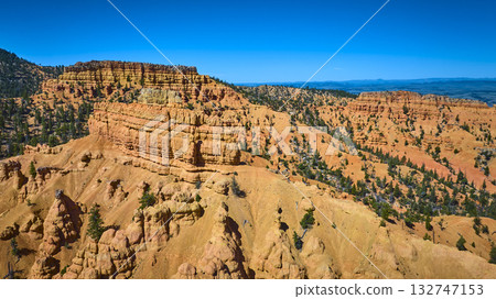 Aerial Red Canyon Sandstone Cliffs and Pine Trees in Utah with Blue Sky 132747153