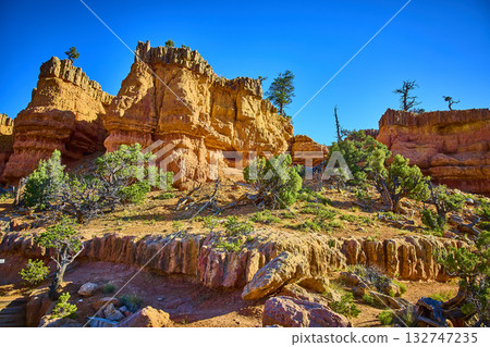 Red Rock Formations and Juniper Trees in Red Canyon Utah Under Clear Blue Sky 132747235