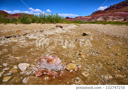 Dry Rocky Riverbed and Red Rock Cliffs with Sparse Desert Vegetation Kanab Utah 132747250