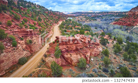 Aerial Red Rock Canyon with Winding Dirt Road and Desert Vegetation 132747439