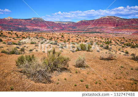 Red Sandstone Mesas and Desert Shrubs in Paria Utah Under Blue Sky 132747488