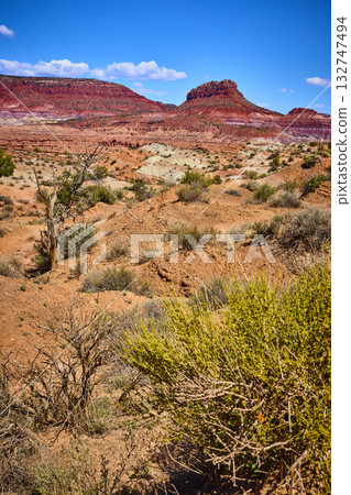 Red Rock Mesas and Lone Tree in Arid Desert Landscape Kanab Utah Red Rock Mesas and Lone Tree in Arid Desert Landscape Kanab Utah 132747494