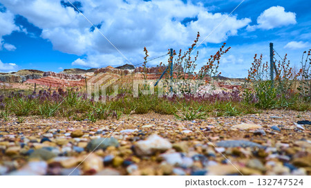Southwest Desert Wildflowers and Rocky Mesas with Wire Fence Ground Level Southwest Desert Wildflowers and Rocky Mesas with Wire Fence Ground Level 132747524