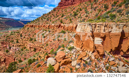 Aerial Red Rock Canyon Cliffs and Desert Landscape Utah 132747546