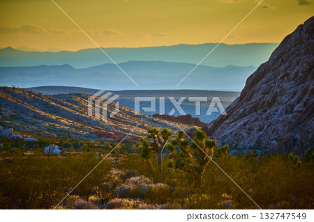 Joshua Tree Sunset in Rugged Desert Landscape with Rocky Hills and Distant Mountains Joshua Tree Sunset in Rugged Desert Landscape with Rocky Hills and Distant Mountains 132747549