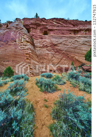 Red Sandstone Cliff and Cave with Desert Vegetation Kanab Utah 132747615