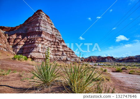 Layered Sandstone Formation with Yucca Plants in Toadstool Hoodoos Utah 132747646