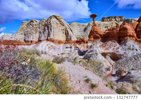Toadstool Hoodoo and Sandstone Cliffs in Grand Staircase Escalante Utah Desert Toadstool Hoodoo and Sandstone Cliffs in Grand Staircase Escalante Utah Desert 132747777