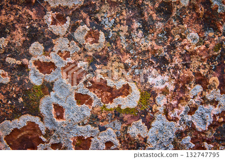 Lichen and Moss on Weathered Red Rock Texture Close Up 132747795