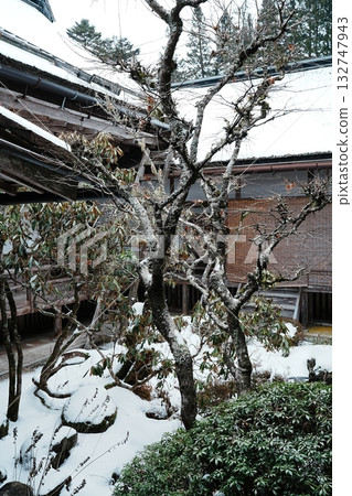 冬天的高野山金剛峰寺:白雪皚皚的庭院 冬天的高野山金剛峰寺:白雪皚皚的庭院 132747943