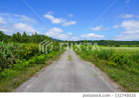 In the depths of Shintotsukawa Town In the depths of Shintotsukawa Town 132748028