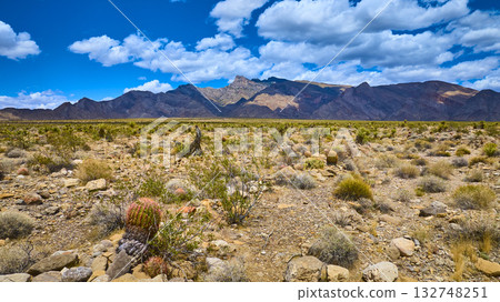 Desert Landscape With Cactus And Mountains Under Blue Sky Desert Landscape With Cactus And Mountains Under Blue Sky 132748251
