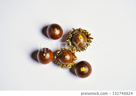 Brown oak fruit (autumn, October) 132748824