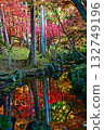 Autumn leaves Water mirror 132749196