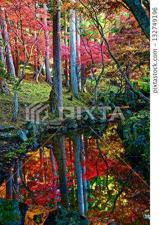 Autumn leaves Water mirror 132749196