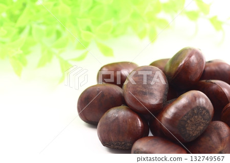 The simple yet powerful presence of chestnuts, a bounty of autumn The simple yet powerful presence of chestnuts, a bounty of autumn 132749567