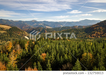 Aerial view of autumn mountain landscape with evergreen pine trees and yellow fall forest with magestic mountains in distance. 132750013