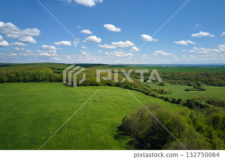 Aerial landscape of green farmland in summer season with growing crops. Agricultural cultivated field. Farming and agriculture industry Aerial landscape of green farmland in summer season with growing crops. Agricultural cultivated field. Farming and agriculture industry 132750064