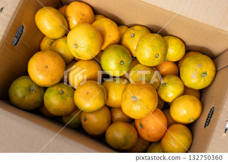 Boxed mandarins delivered directly from the source in Japan 132750360