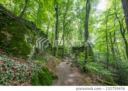 Beautiful green forest Hiking path with Sandstone chalk rock formations in Berdorf Mullerthal Luxembourg 132750456