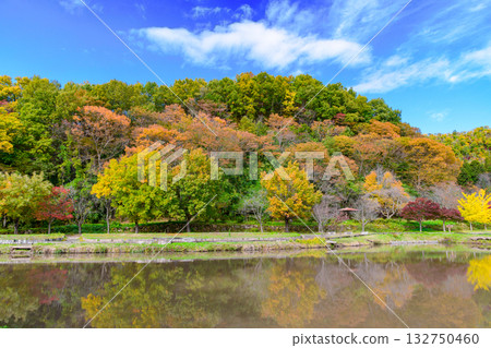 豬家之裡歷史公園的秋葉景色美不勝收 豬家之裡歷史公園的秋葉景色美不勝收 132750460