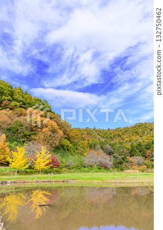 豬家之裡歷史公園的秋葉景色美不勝收 豬家之裡歷史公園的秋葉景色美不勝收 132750462