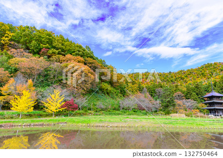 Magnificent autumn foliage at Inishie no Sato Historical Park Magnificent autumn foliage at Inishie no Sato Historical Park 132750464
