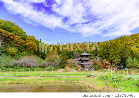 Magnificent autumn foliage at Inishie no Sato Historical Park 132750465
