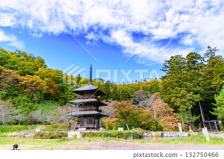 Magnificent autumn foliage at Inishie no Sato Historical Park 132750466