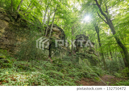 Beautiful green forest Hiking path with Sandstone chalk rock formations in Berdorf Mullerthal Luxembourg 132750472