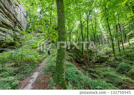 Beautiful green forest Hiking path with Sandstone chalk rock formations in Berdorf Mullerthal Luxembourg 132750545