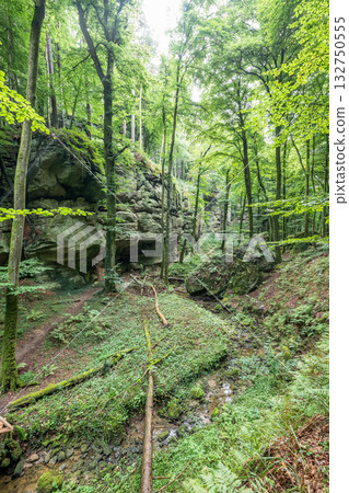 Beautiful green forest Hiking path with Sandstone chalk rock formations in Berdorf Mullerthal Luxembourg 132750555
